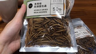 未來糧食之路 可食昆蟲替代肉類