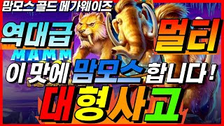 [슬롯][하이라이트] 🔥맘모스 골드 메가웨이즈🔥★대형사고! 이맛에 맘모스 합니다 !!★[프라그마틱][온라인슬롯][슬롯라이브][강원랜드][슬롯머신][겜블슬롯]