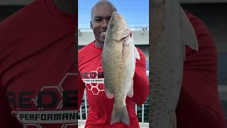 Raining Snapper from the Bridges in the Florida Keys! #floridakeysbridgefishing