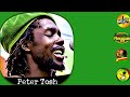 Peter Toch  -  Johnny B Goode  |  LEGIÃO ROOTS REGGAE