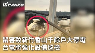 鼠害致新竹香山千餘戶大停電 台電將強化設備巡檢｜20240527 公視早安新聞