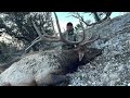 nevada late season bull elk hunt