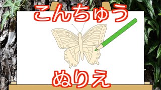 【子供向け 昆虫図鑑】塗り絵でむしの名前を覚えよう！赤ちゃんが喜ぶ、泣き止む知育動画