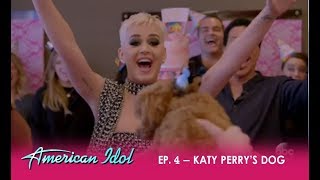 Judges SURPRISE Katy Perry With Her Puppy Nugget On Set  | American Idol 2018