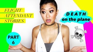 Flight Attendant Stories - PART 6