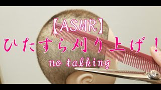 【ASMR】現役美容師がひたすらハサミで髪の毛を切るだけの動画 刈り上げ編 haircut no talking sleepy 【睡眠 声なし 作業用 ハサミの音 メンズカット 音フェチ 】