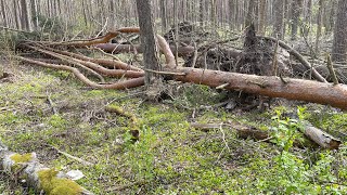 Vad väntar du på? Vill du ha NWO? Om inte, varför tvekar du? (se videos i beskrivningsfältet)