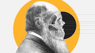 Theory of Evolution: How did Darwin come up with it? - BBCURDU