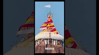 Jay Jagannath Swami Nayana Pathagami Bhava Tume!! #shortsvideo #shortsyoutube #shorts #shortsfeed