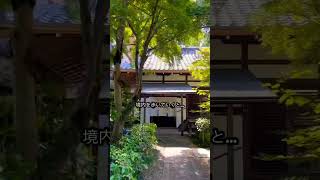 まさかのパワースポット「梨木神社」の境内にコーヒースタンド現る！ #京都カフェ