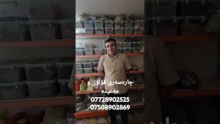 الحلل انهائی چارەسەری کۆتایی بەکتریاو التهابی مەعیدە و  قۆڵۆن زانیاری لەکۆمێنتە