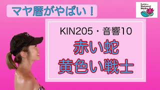 【マヤ暦がやばい！】KIN205 赤い蛇・黄色い戦士／音響10