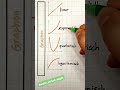 Funktionsgraphen | linear,  exponentiell, quadratisch, logatithmisch #mathe_einfach_simple #tricks