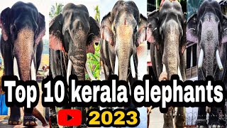 2023ൽ കേരളത്തിലെ പ്രശസ്തരായ 10 ആനകൾ|Top10Kerala elephants2023|#aanapranth