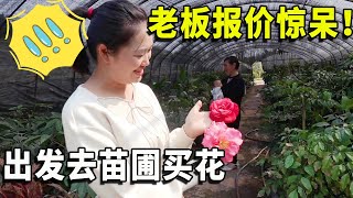 开车去苗圃买花，报价惊到小妞，最后决定让老板到院子里看看再说【农家小妞儿】