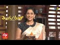 Telugu Ruchi | 20th February 2021 | Full Episode | ETV Telugu