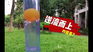 魔力科学小实验，装满水的管子倒转过来，里面的乒乓球为何往上走？