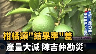 柑橘類\