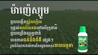 ជីកសិកម្មថ្រានហ្វម