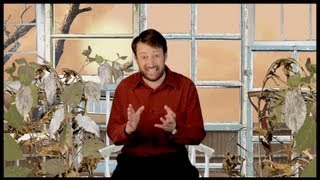 Burden of Proof | David Mitchell's Soapbox