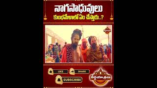 నాగ సాధువులు కుంభమేళాలో ఏం చేస్తారు? Naga Sadhus at Maha Kumbh Mela |Mahakumbh 2025|Teerthayatralu 🙏