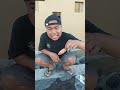 ikanku mati #shorts #ikan #funny