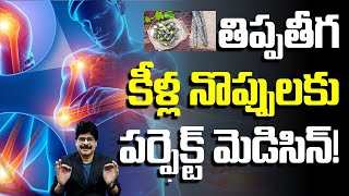 తిప్పతీగ  కీళ్ళ నొప్పులకు పర్ఫెక్ట్ మెడిసిన్!  Medicinal uses of Thippa Teega, Giloy