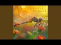A Better World