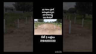 60 sq Yards Open plot Sale || #home #realestate #Openplots #Yadagirigutta