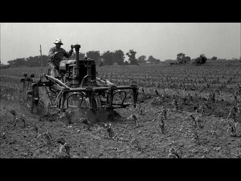 How did mechanization affect farming?