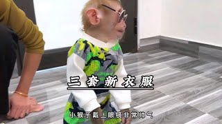 小猴子太懂事，妈妈为了回报它，给它买了三套新衣服