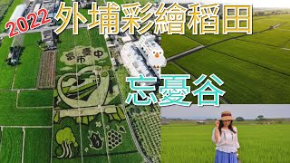 [遊記]2022 外埔彩繪稻田~還有適合放空的外埔忘憂谷(空拍)