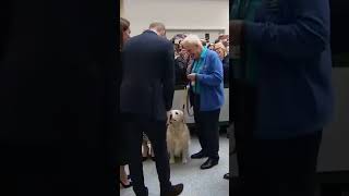 Prince William Says Goodbye to the Dog #shorts