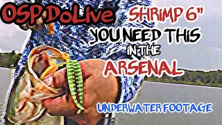 OSP DoLive Shrimp 6” rigged Biffle Hard Head Style.  Cast2Catch Bait Review + underwater footage