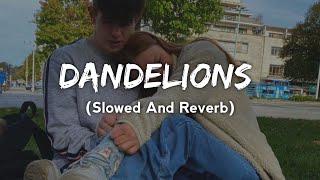 Dandelions Slowed and reverb + Lofi | Sad song | Instagram trending songs ❤