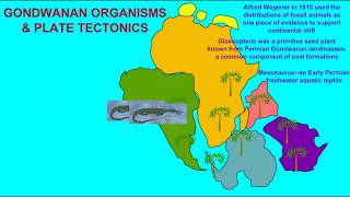 Gondwana \u0026 Early Evidence of Plate Tectonics