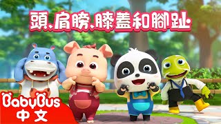 頭，肩膀，膝蓋和腳趾 Head,Shoulders,Knees and Toes +更多 | 經典兒歌 | Kids Song | 童謠 | 動畫 | 卡通片 | BabyBus | 寶寶巴士