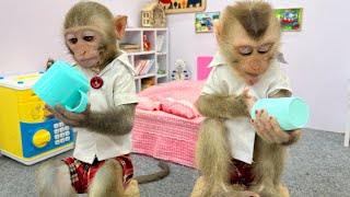 Bim Bim helps dad take care of little monkey Obi