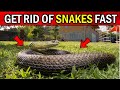 How To Get Rid of Snakes From Your Yard and Home Naturally