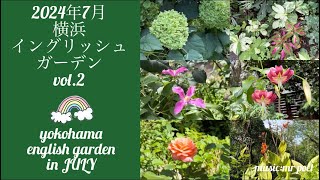 【2024年7月 横浜イングリッシュガーデン vol.2】yokohama english garden in JULY