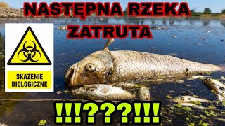 TRUJĄ NAM RZEKI RZEKA ODRA, NER  ZATRUTA  #wędkarstwo #rzeka #zatrucie