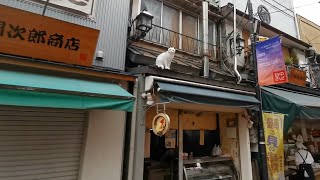 【荒川区マニアック】JR 京成 日暮里駅から 夕やけだんだんを通り 猫🐱の町 谷中銀座商店街を散策しました🚶 外国人の方が沢山観光していました👟