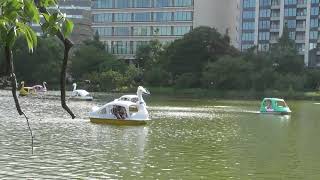 上野公園　不忍池　うえの夏まつり　2024-08-10 31