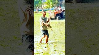 কি ভাবে মাছ শিকার করলো                খুব ভয়ংকর অবস্থা #music #shorts #viralvideo #bangladesh #pubg