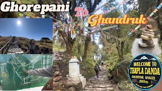 GHOREPANI TO GHANDRUK TREK||14KM हिड्दा खुट्टा दुखेर बिजोग😢