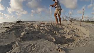 Documenting a Sea Turtle Nest on Ossabaw