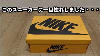 めっちゃかっこいいスニーカー見つけてしまった！　AJ1 タクシー　【Air Jordan 1 Retro High OG \