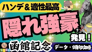 【函館記念攻略】ハンデと適性、能力がそろった穴馬についてのお話【競馬予想2024】