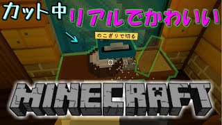 リアルでかわいい『全く新しい』マインクラフト【マイクラ×牧場物語】【Staxel】実況＃４