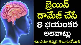 మన మెదడు ఎలా పనిచేస్తుందో తెలుసా | How the Human BRAIN Works,